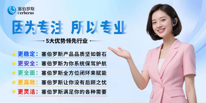 塞伯罗斯5大优势领先行业